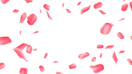 flying rose petals on white background 3d rendering 