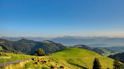 View from Alp Scheidegg to the Alps