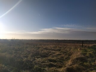 sunrise over the field