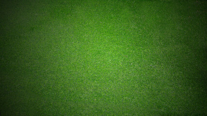 green grass  texture