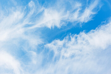 Naklejka na ściany i meble White clouds on the sky at day time.