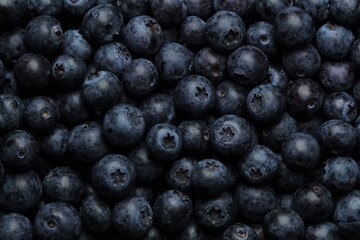 Fresh blueberry or blackberry background. Texture blueberry berries close up.