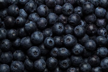 Fresh blueberry or blackberry background. Texture blueberry berries close up.