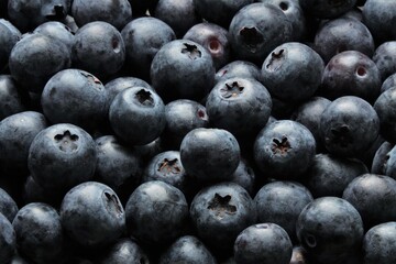 Fresh blueberry or blackberry background. Texture blueberry berries close up.