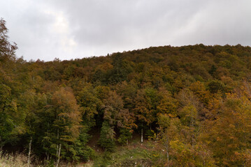 Obraz na płótnie Canvas Autumn in the mountains of Friuli, Italy