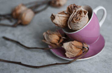withered roses on a light background. Dried roses in a pink glass