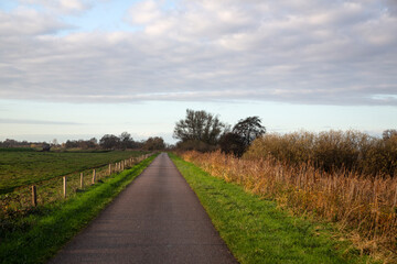 Straight road on dike, Biesbosch National Park, North Brabant, Netherlands