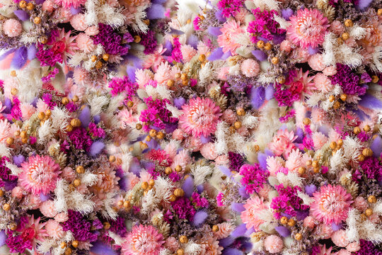 Natural Flower Pattern Of Dried Flowers In Pink And Purple Flowers. Flat Lay.