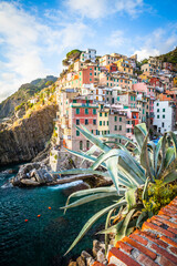 Riomaggiore,  small village in Cinque Terre,  Liguria,  Italy