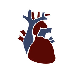 Simple and minimal illustration of human heart .