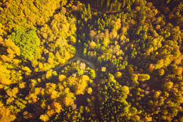 Aerial view of autumn forest in South styria Green hart of Austria