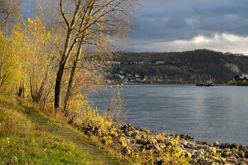 Flussufer des Rheins bei Niederwerth im Herbst mit Binnenschiff auf dem Fluss - Stockfoto