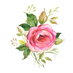  Abstract illustration drawn on paper with paints rose with foliage