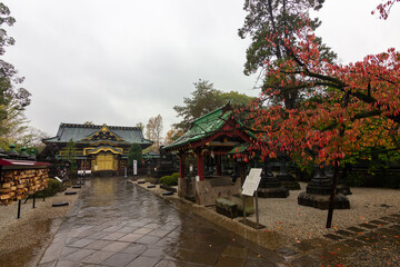 Fototapeta na wymiar Temple in Ueno park in Tokyo (Japan)