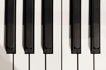 A part of a grand piano keyboard
