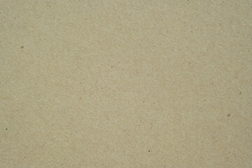 Fototapeta na wymiar Texture of brown craft or kraft paper background, cardboard sheet, recycle paper, copy space for text.