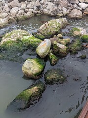 Stones
