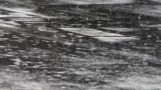 details of rain on the asphalt on a gloomy autumn day