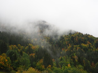 Fototapeta na wymiar Photo couleur de la forêt en automne avec couleurs orange, vert, jaune, brume et nuages, ciel blanc, pendant une randonnée ou balade