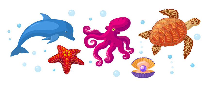 Sea and ocean underwater animals. Different sea animals fish of seafood collection dolphin, pearl clam, starfish, sea turtle, octopus. Sea life, marine animals cartoon vector