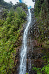 Risco forest waterfall