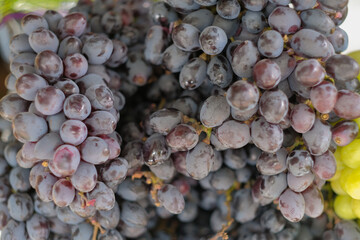 Red grapes at the market