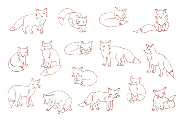 Fox forest animals hand drawn vector illustrations line set
