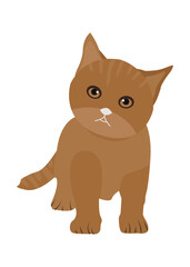 Cat illustration design vector