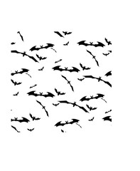 Seamless background with flying bats. Traditional Halloween symbols. Seamless halloween background with black bats. Flat style on a white background. Vector