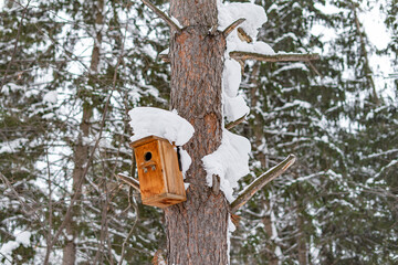 Snow covered wooden bird house hanging on a tree trunk in the city park in winter season close up