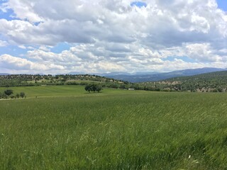 Güzelliğiyle cezbeden doğa fotoğrafları.
