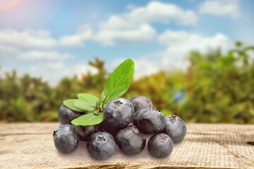 Blueberry.