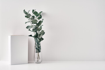 Transparent vase with eucalyptus and a book on a white background. Minimalism, eco-materials in the interior decor. Copy space, mock up.
