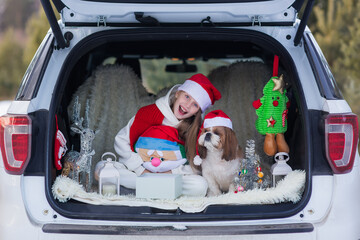 Cute girl is getting ready for Christmas, girl with shih tzu dog in a Santa hat sitting in the car decoration Christmas New Year's.