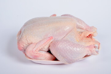 Raw fresh chicken on white background
