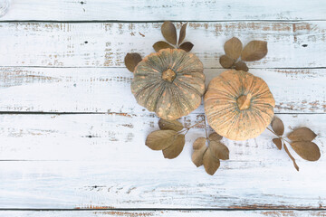 Autumn and Thanksgiving day  background from fallen leaves and pumpkins fruits on wooden table