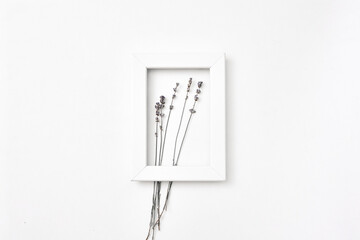 White frame on a white background and dry lavender. Copy space flat lay top view