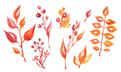 red and yellow leaves