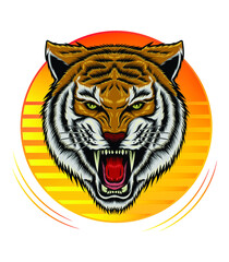 vector angry tiger face sport emblem on sunset background