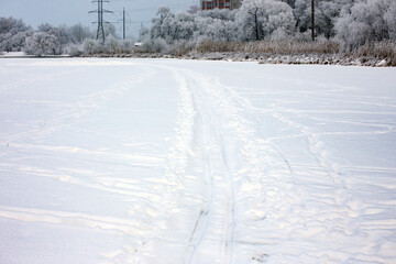 Ski track in the snow in the city park. Active lifestyle in the city in winter.