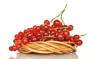 Ripe red currants, close-up, on a white background.