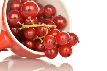 Ripe red currants, close-up, on a white background.