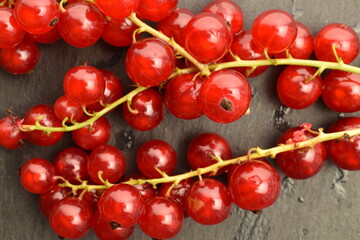 Ripe organic, red currants, close-up.
