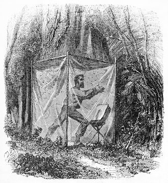 explorer making insect screen hut in the jungle to make himself safe. Ancient grey tone etching style art by unidentified author, Le Tour du Monde, Paris, 1861