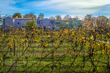 Fototapety na wymiar - Fototapeta24.pl