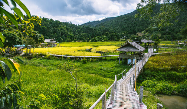 Bamboo Bridge in Pai, Mae Hong Son, Chiang Mai, thailand