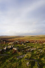 Dartmoor national park in Autumn