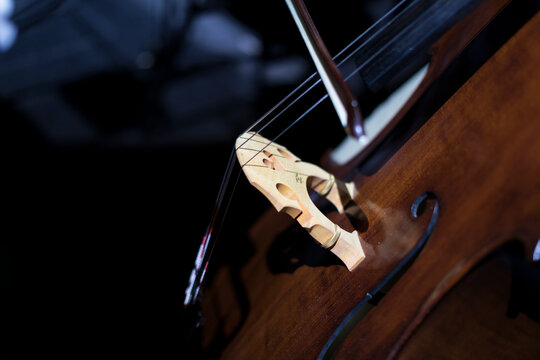 A part of a double bass