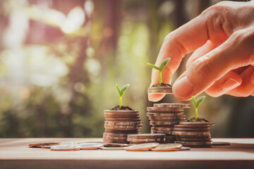 Hand putting coins on coin stack growing graph with plant growing on coins and green bokeh background-Business Finance, Investment and Saving money concept.
