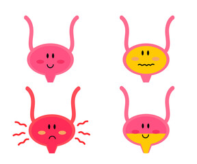 Bladder on a white background. Cystitis. Vector illustration.